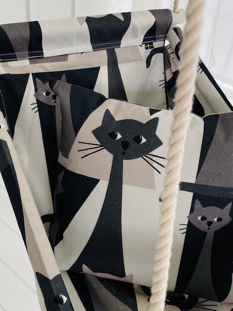 Babygunga Katt närbild Babygunga Katt närbild